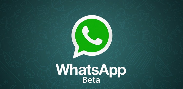 whatsapp desktop beta