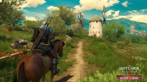 the witcher 3 2