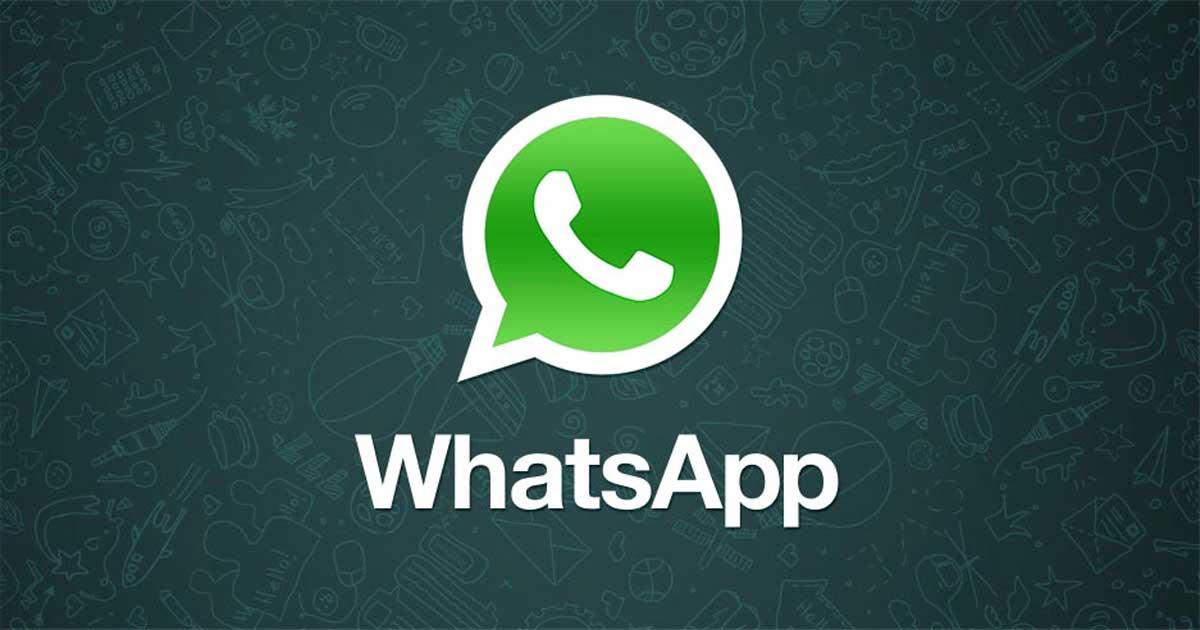 whatsapp si aggiorna - surface phone italia