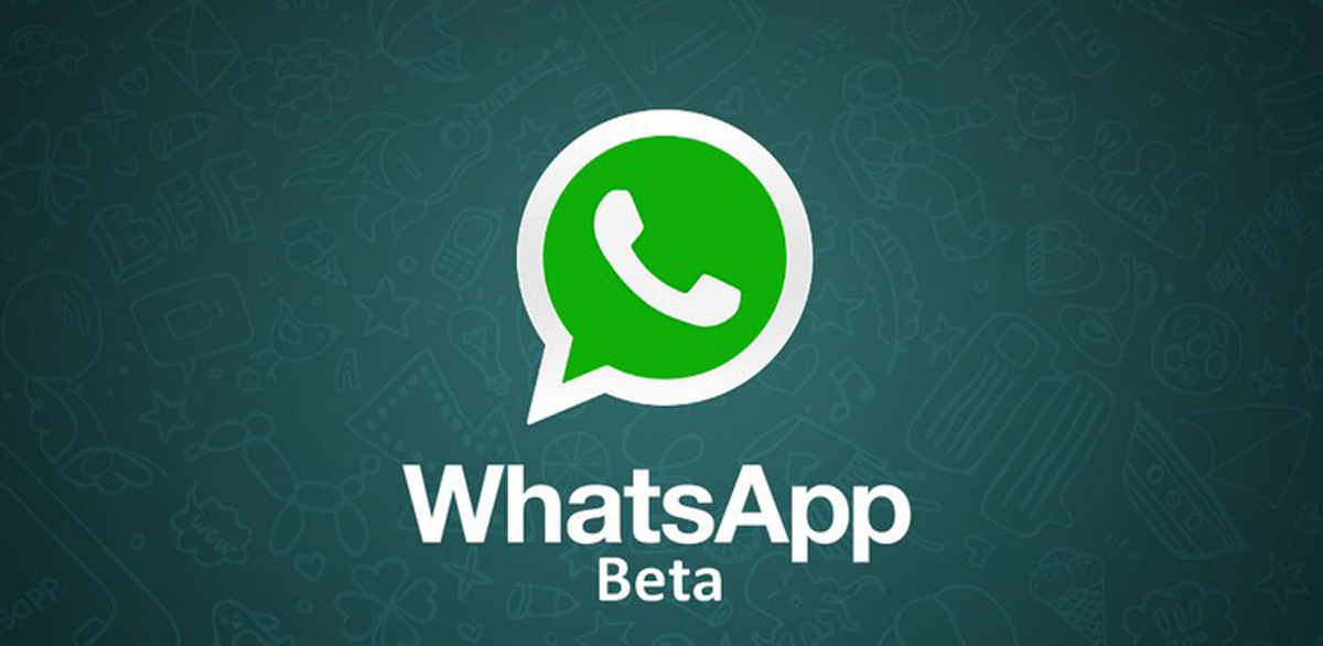whatsapp beta nuovo aggiornamento disponibile - surface phone italia