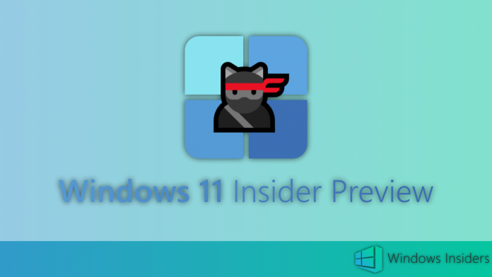 Windows 11 insider preview beta dev